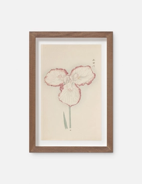 Vintage Japanese Iris No. 30 Wall Art by Miyoshi Manabu 