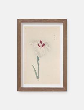 Vintage Japanese Iris No. 31 Wall Art by Miyoshi Manabu 