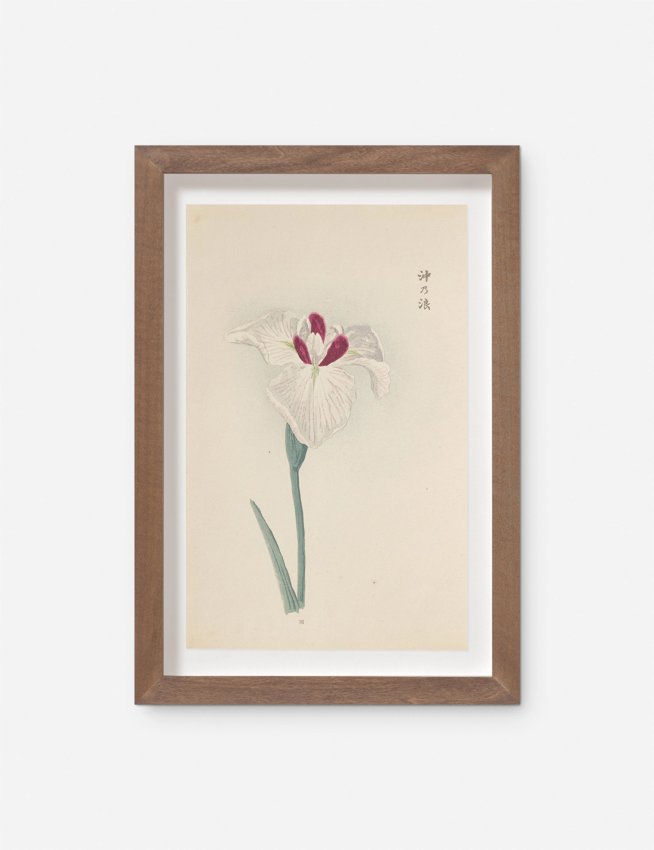 Vintage Japanese Iris No. 31 Wall Art by Miyoshi Manabu 