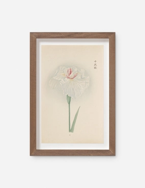 Vintage Japanese Iris No. 35 Wall Art by Miyoshi Manabu 