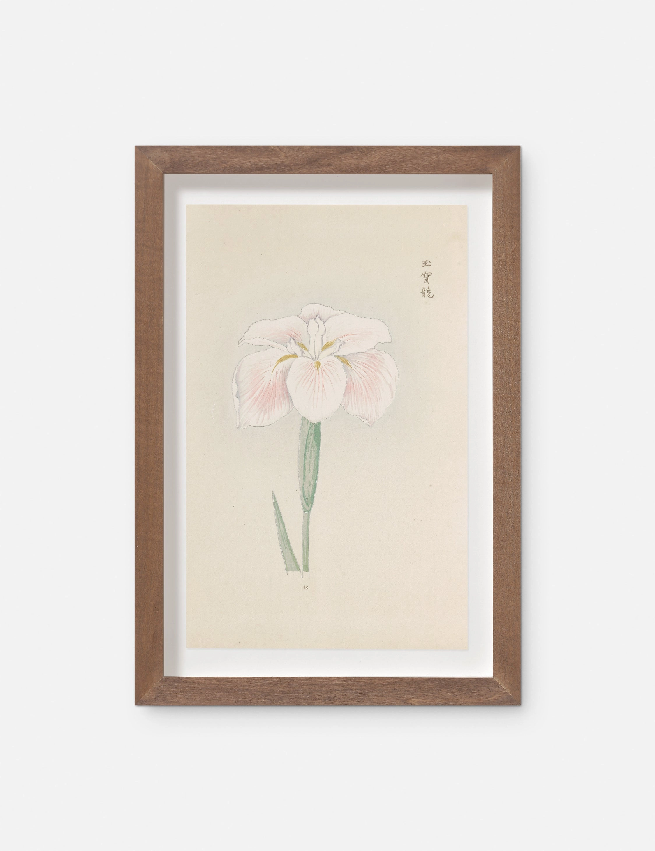 Vintage Japanese Iris No. 48 Wall Art by Miyoshi Manabu 