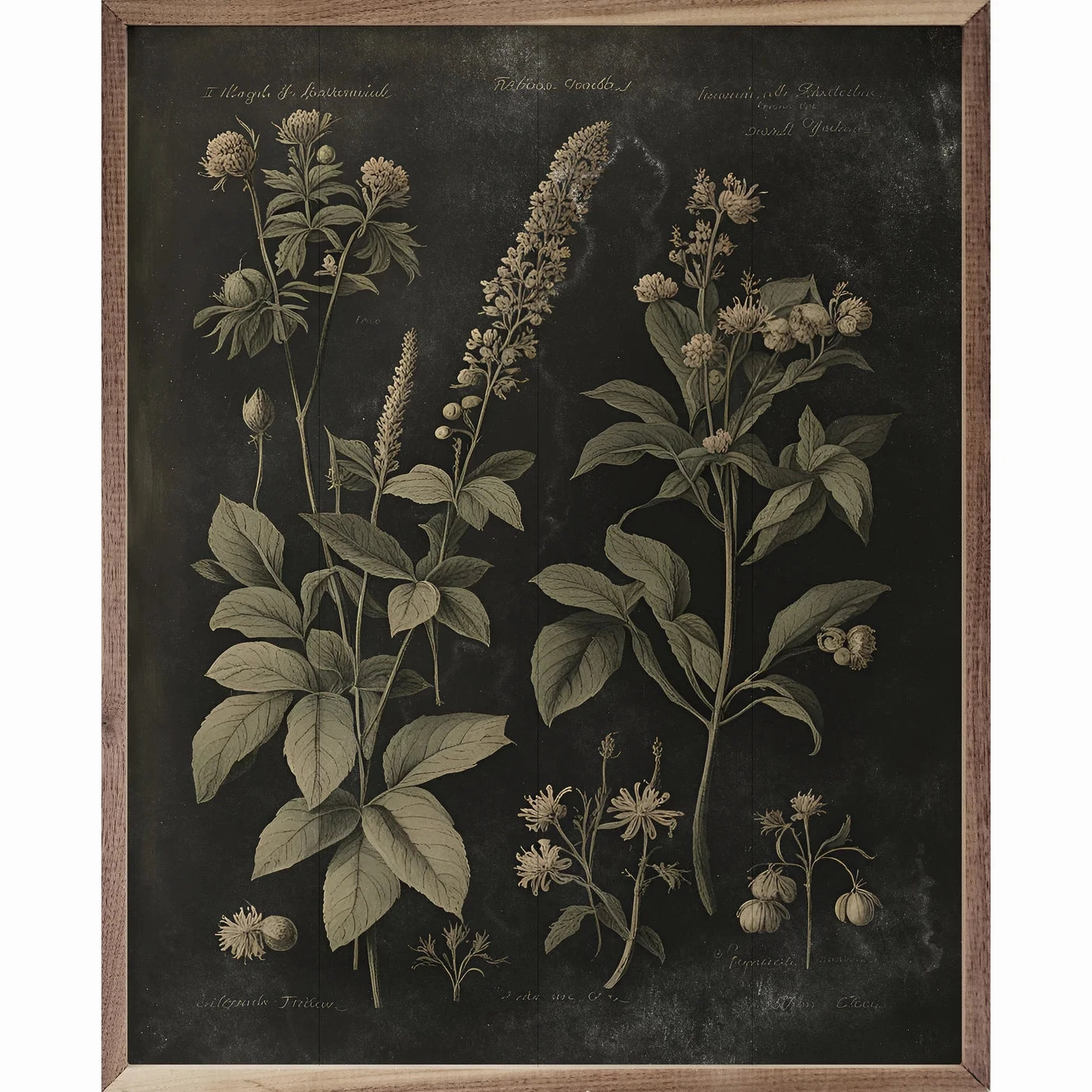 Vintage Neutral Floral Print Black Wood Framed Print 