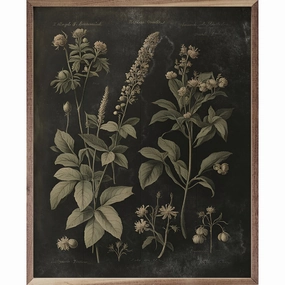 Vintage Neutral Floral Print Black Wood Framed Print 