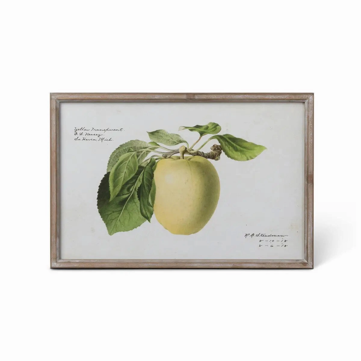 Vintage Orchard Framed Fruits Wall Art Print Set