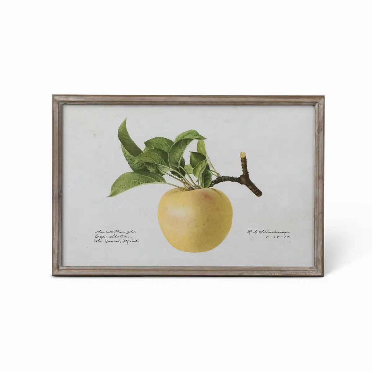 Vintage Orchard Framed Fruits Wall Art Print Set