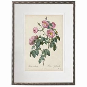 Vintage Pale Pink Rose With Cream Matte Framed Wall Art 