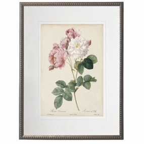 Vintage Pink & White Roses With Cream Matte Framed Wall Art 