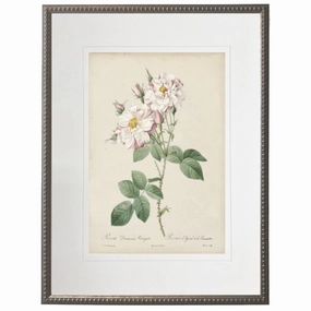 Vintage Pink Rose Stems With Cream Matte Framed Wall Art 