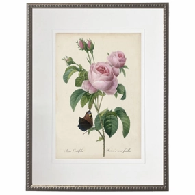 Vintage Pink Roses With Cream Matte Framed Wall Art 