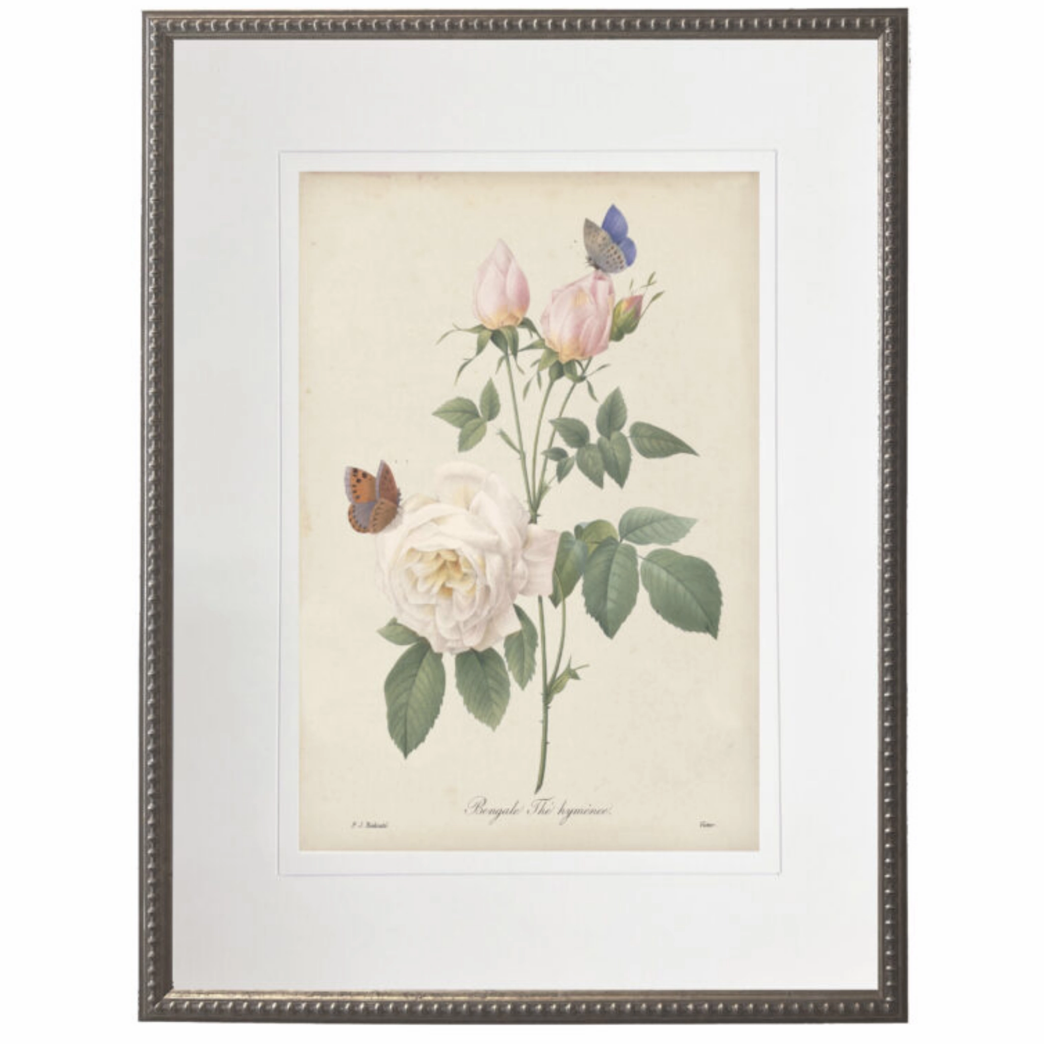 Vintage White Rose With Cream Matte Framed Wall Art 