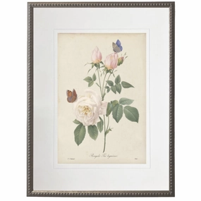 Vintage White Rose With Cream Matte Framed Wall Art 