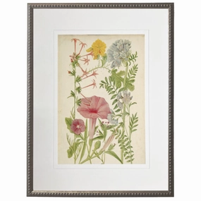 Vintage Wildflower Bookplate With Cream Matte Framed Wall Art 