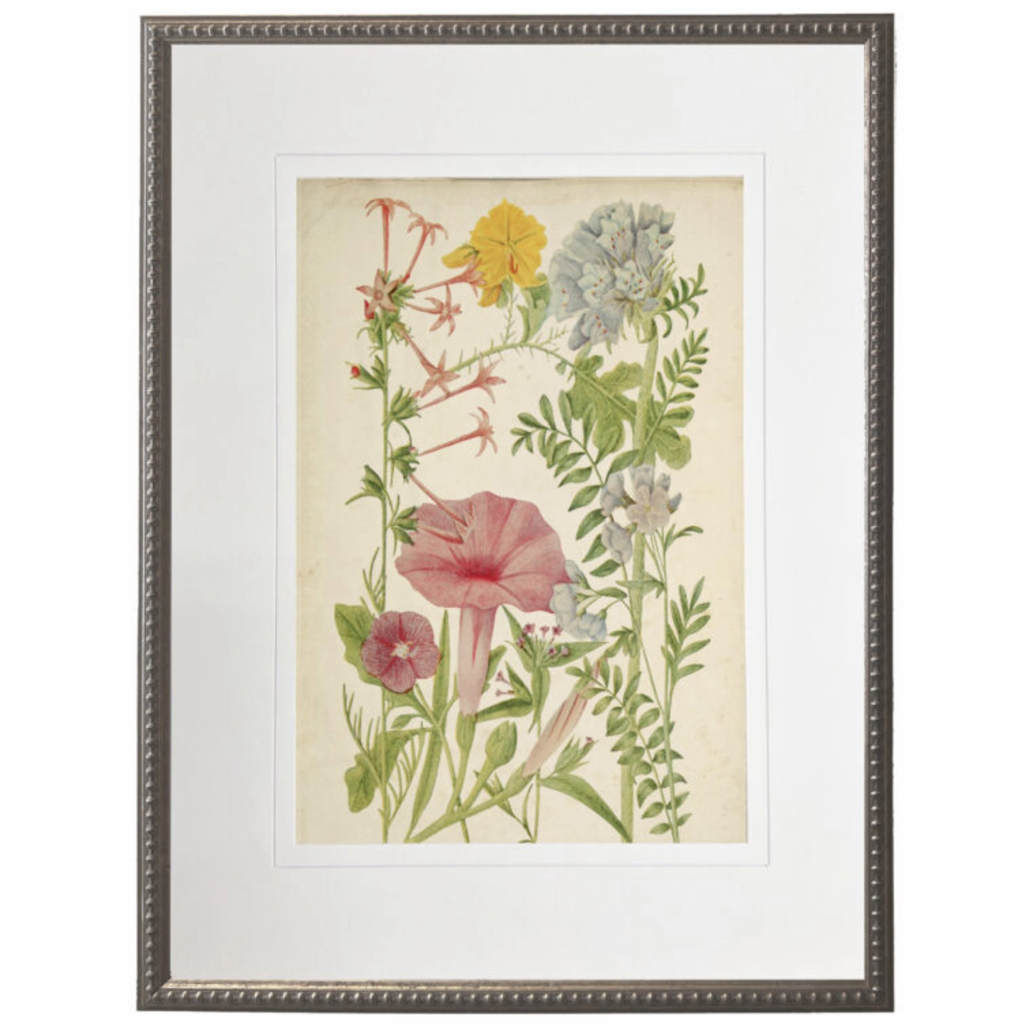 Vintage Wildflower Bookplate With Cream Matte Framed Wall Art 
