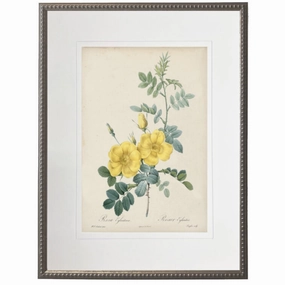 Vintage Yellow Roses With Cream Matte Framed Wall Art 