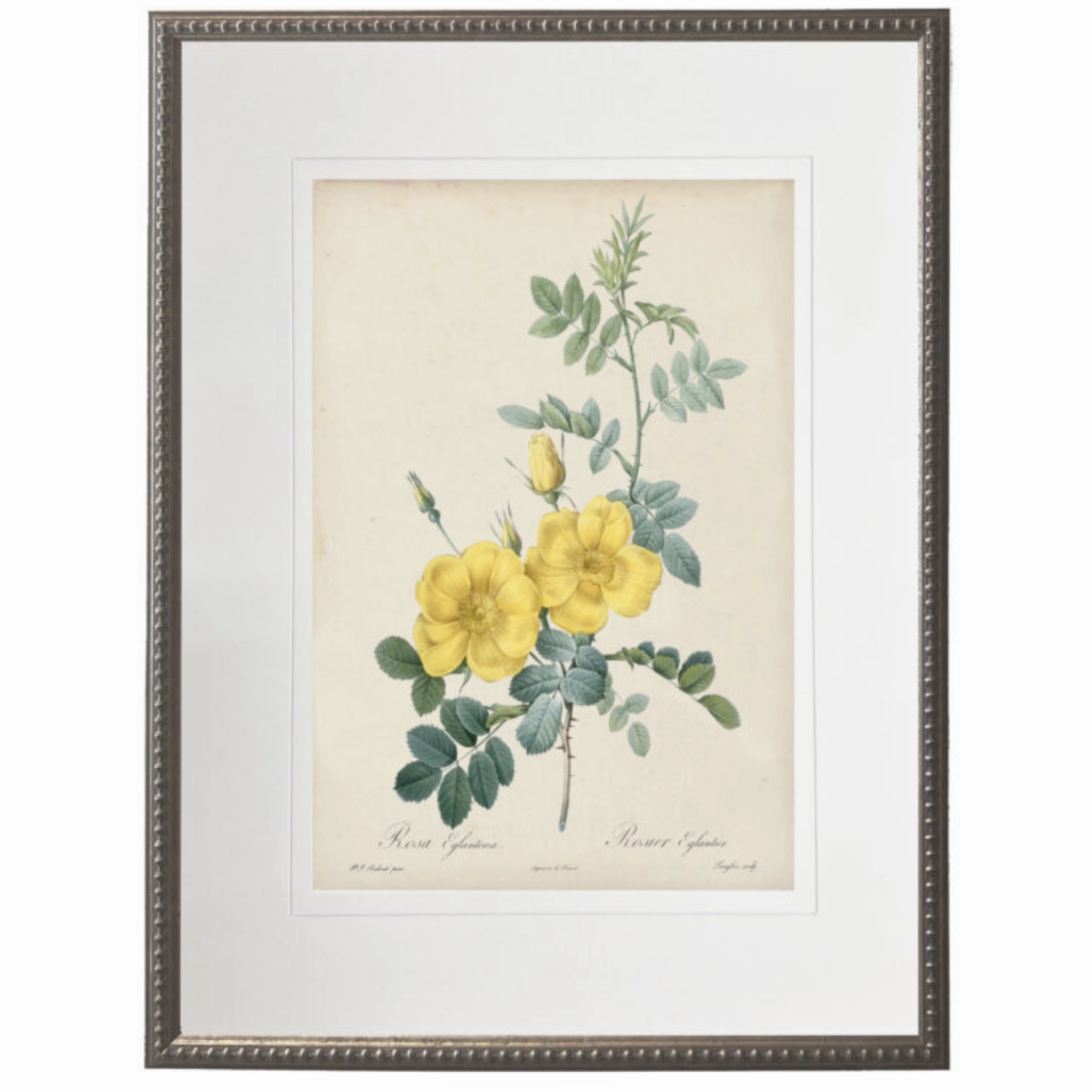 Vintage Yellow Roses With Cream Matte Framed Wall Art 