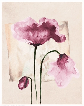 Violet Watercolor Poppies 