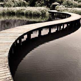 Water Walkway 