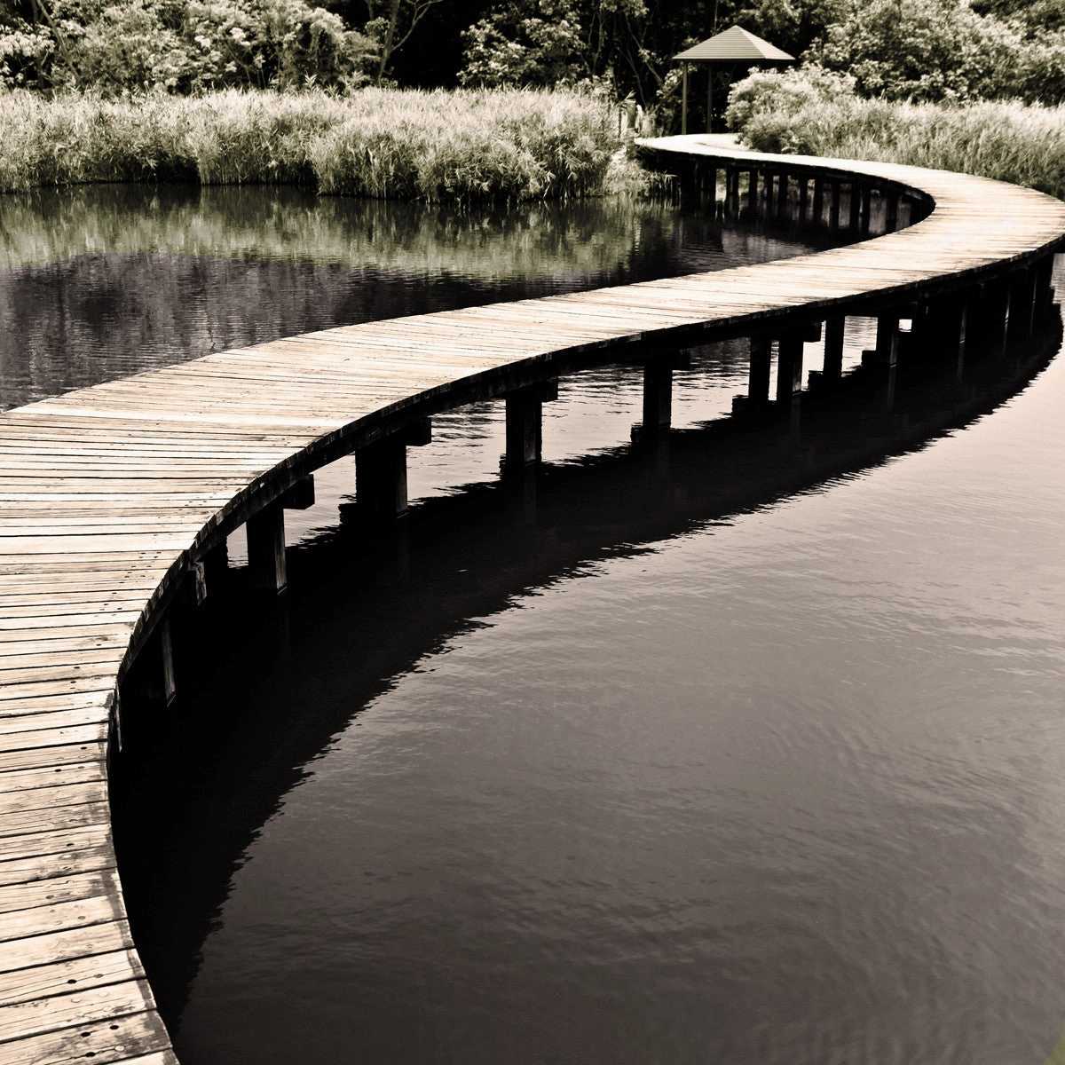 Water Walkway 