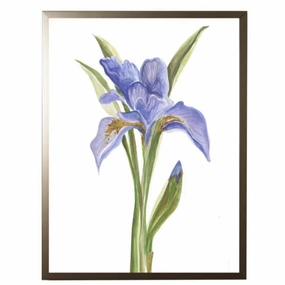 Watercolor Blue Iris Framed Wall Art 