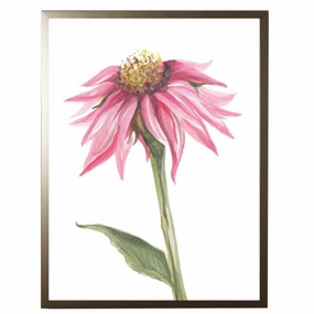 Watercolor Pink Coneflower Framed Wall Art 