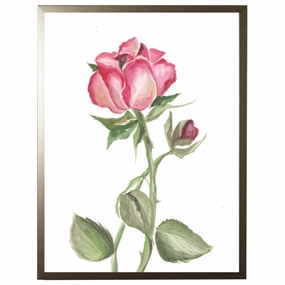 Watercolor Pink Rose Framed Wall Art 