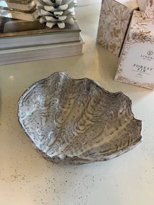 Wavy Clam Side 