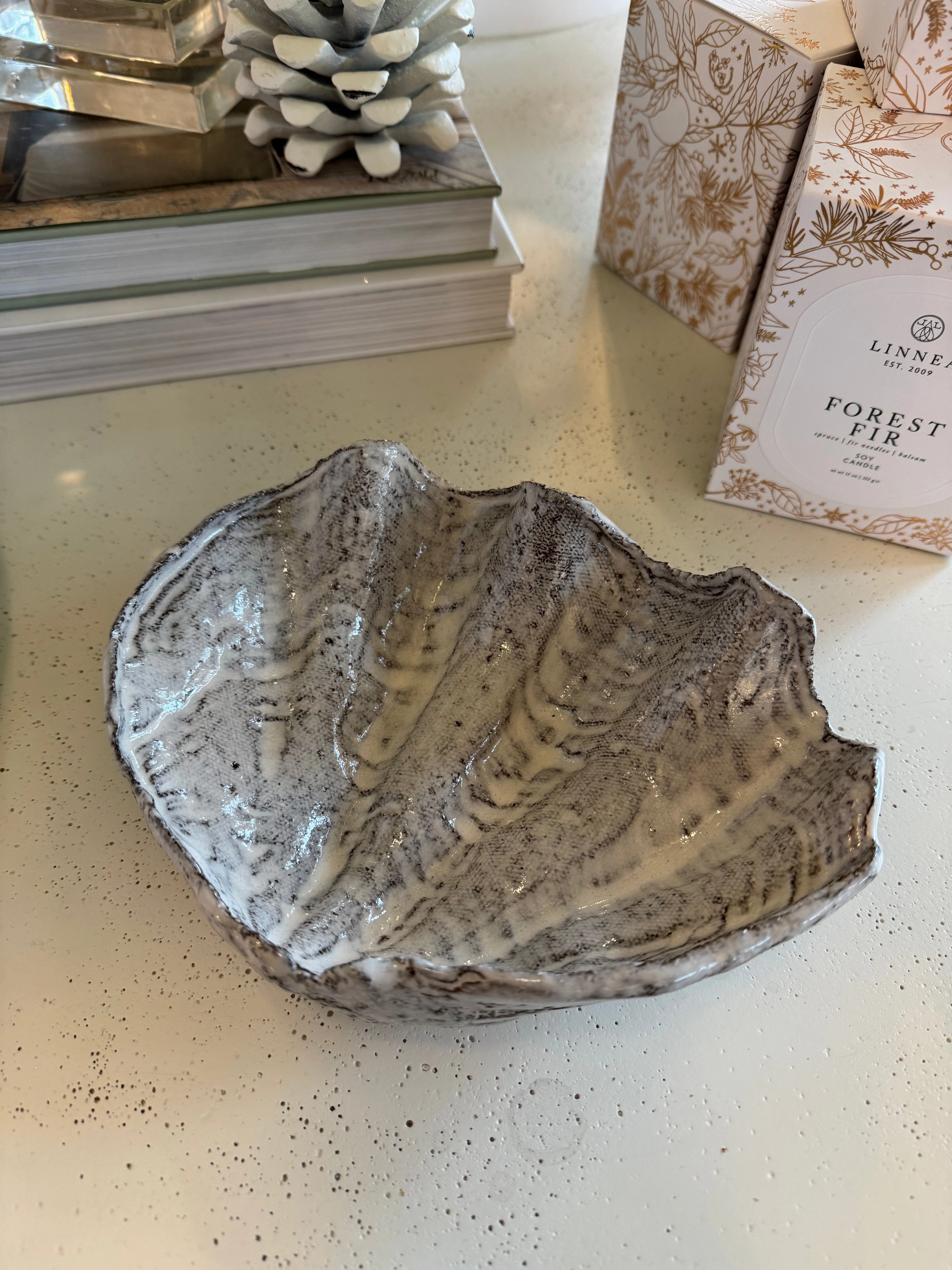Wavy Clam Side 