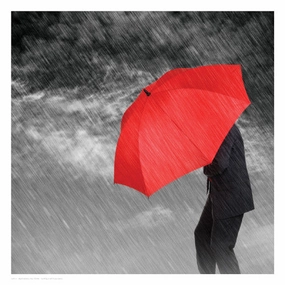 Weathering the Storm 