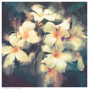 White Flowers in the Dark 