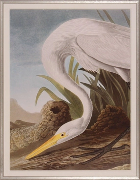 White Heron at Water's Edge Giclee Wall Art in Silver Frame 