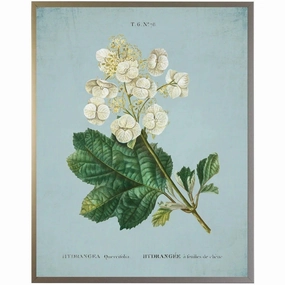 White Hydrangea on Blue Framed Wall Art 
