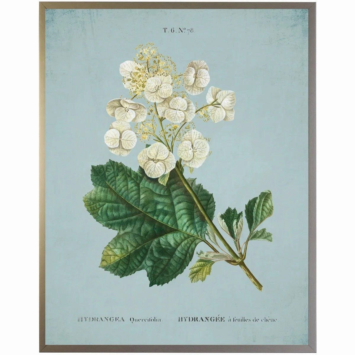 White Hydrangea on Blue Framed Wall Art 