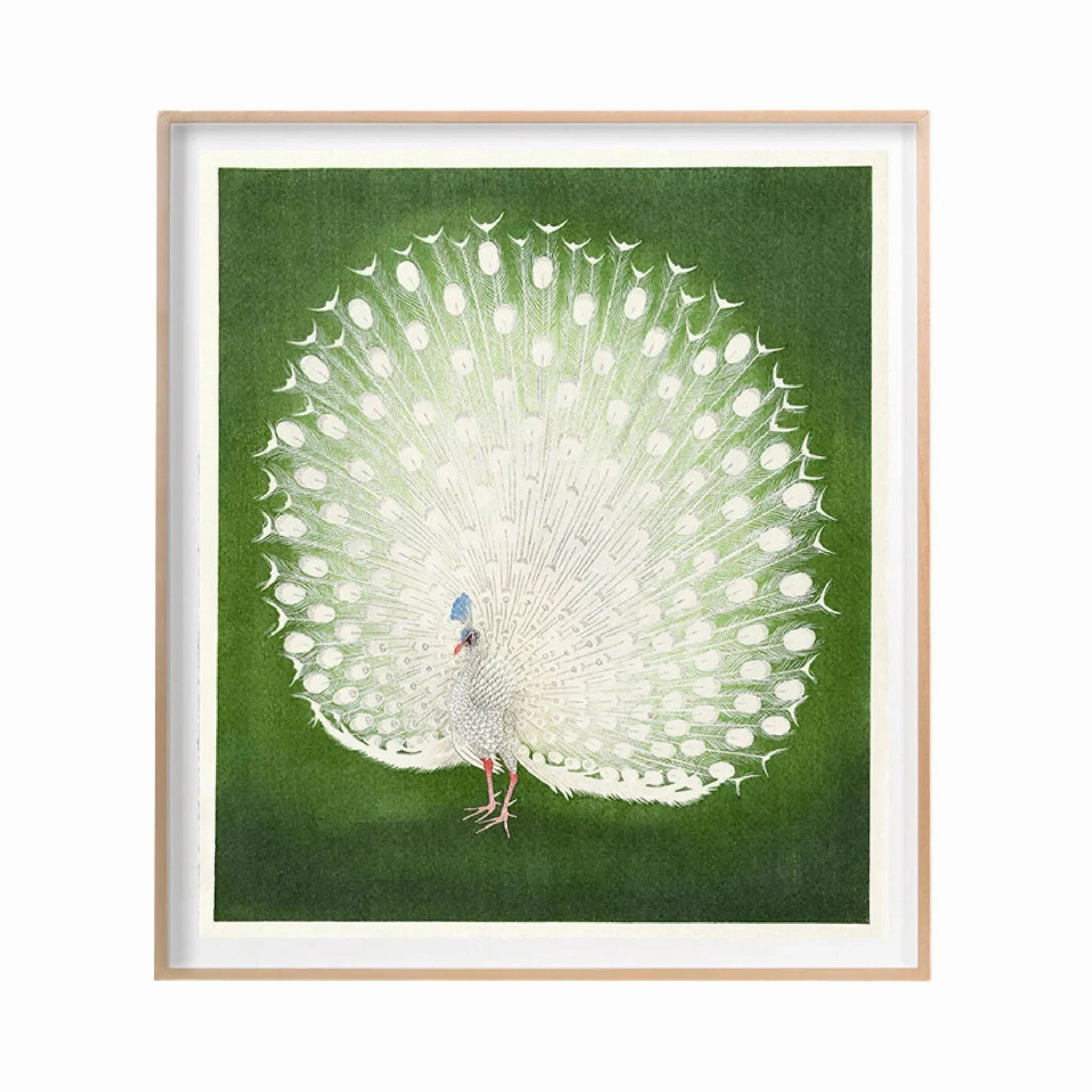 White Peacock on Green Framed Wall Art 