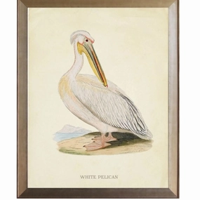 White Pelican Framed Wall Art 