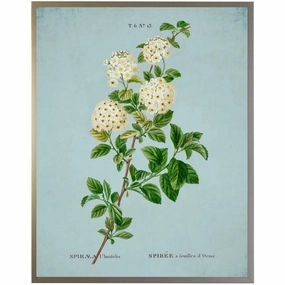 White Spirea on Blue Framed Wall Art 
