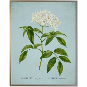 White Surreau Flower on Blue Framed Wall Art 