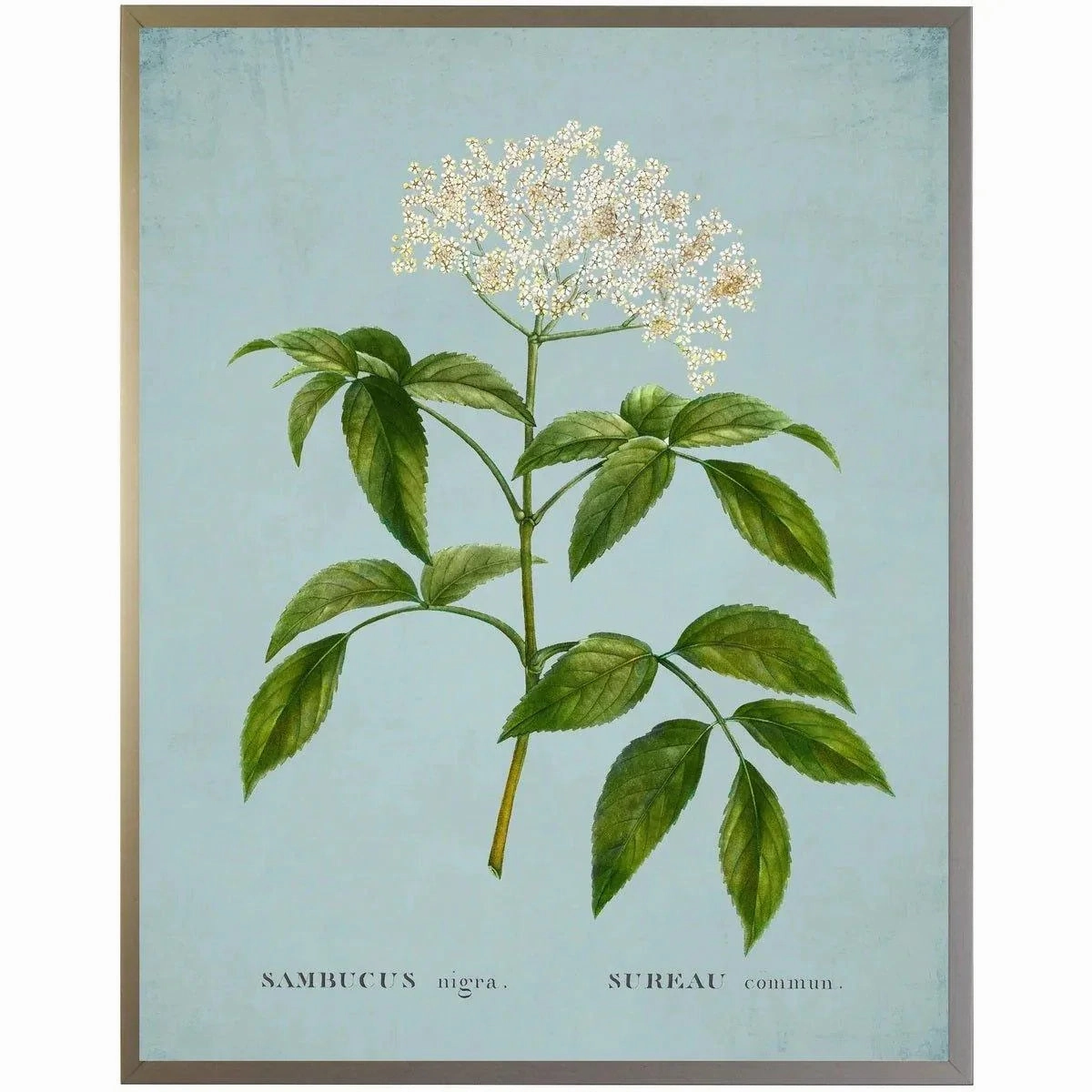 White Surreau Flower on Blue Framed Wall Art 