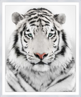 White Tiger Framed Wall Art 