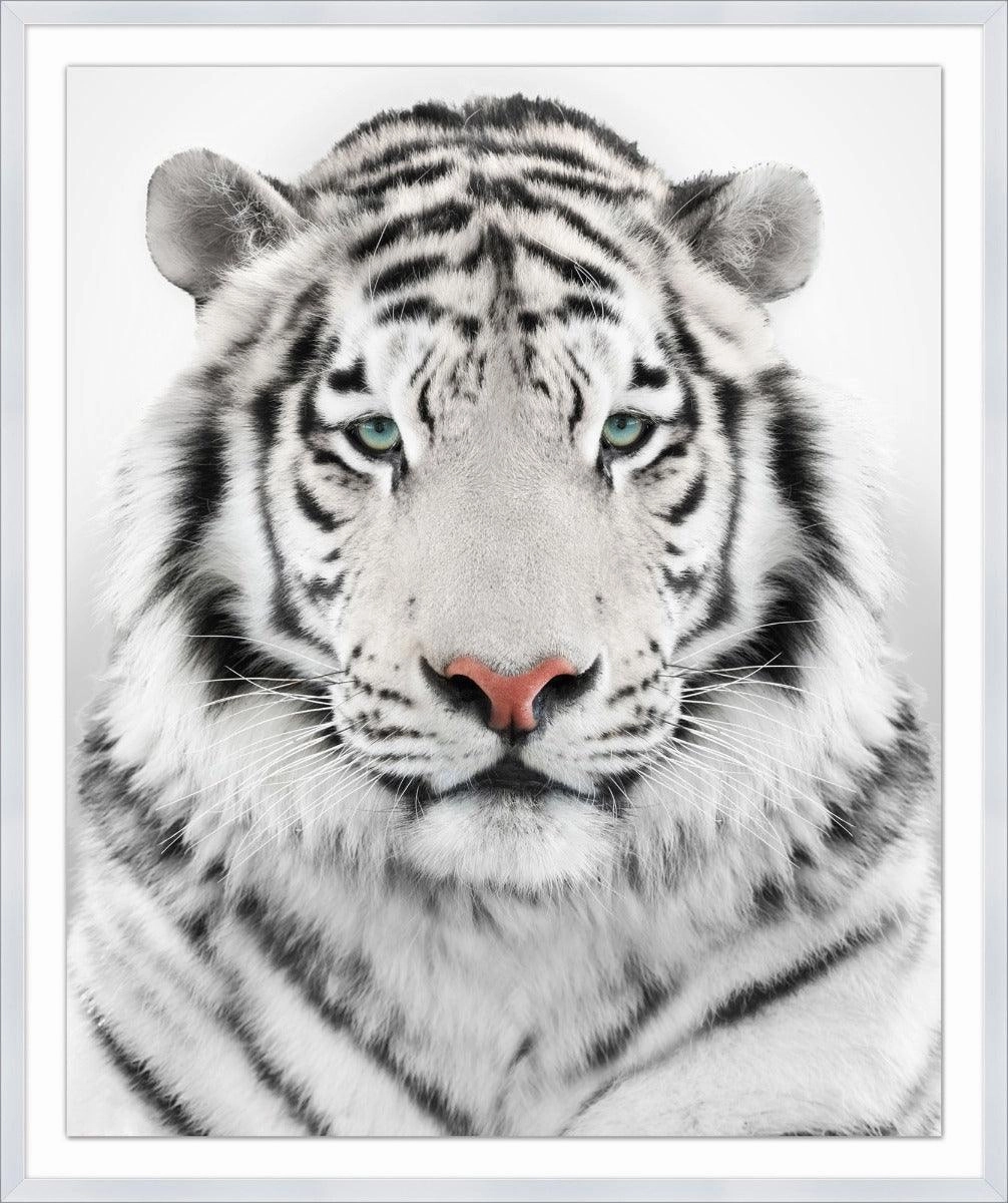 White Tiger Framed Wall Art 
