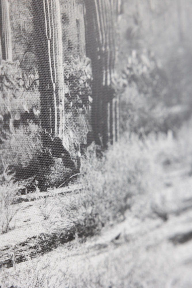 Wild West Cactus Art Print