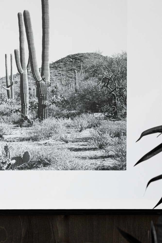 Wild West Cactus Art Print
