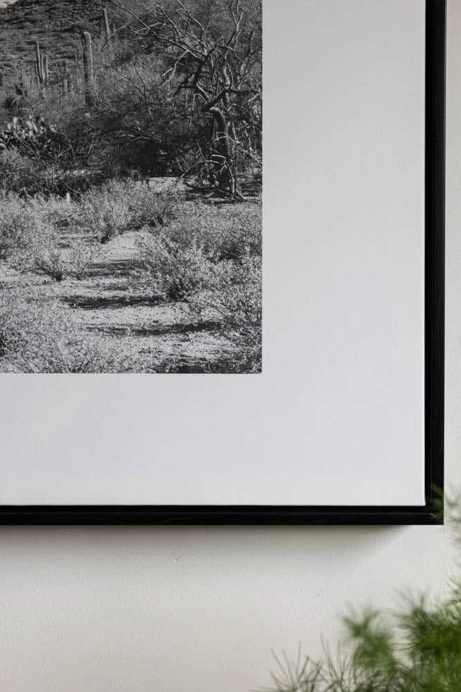 Wild West Cactus Art Print