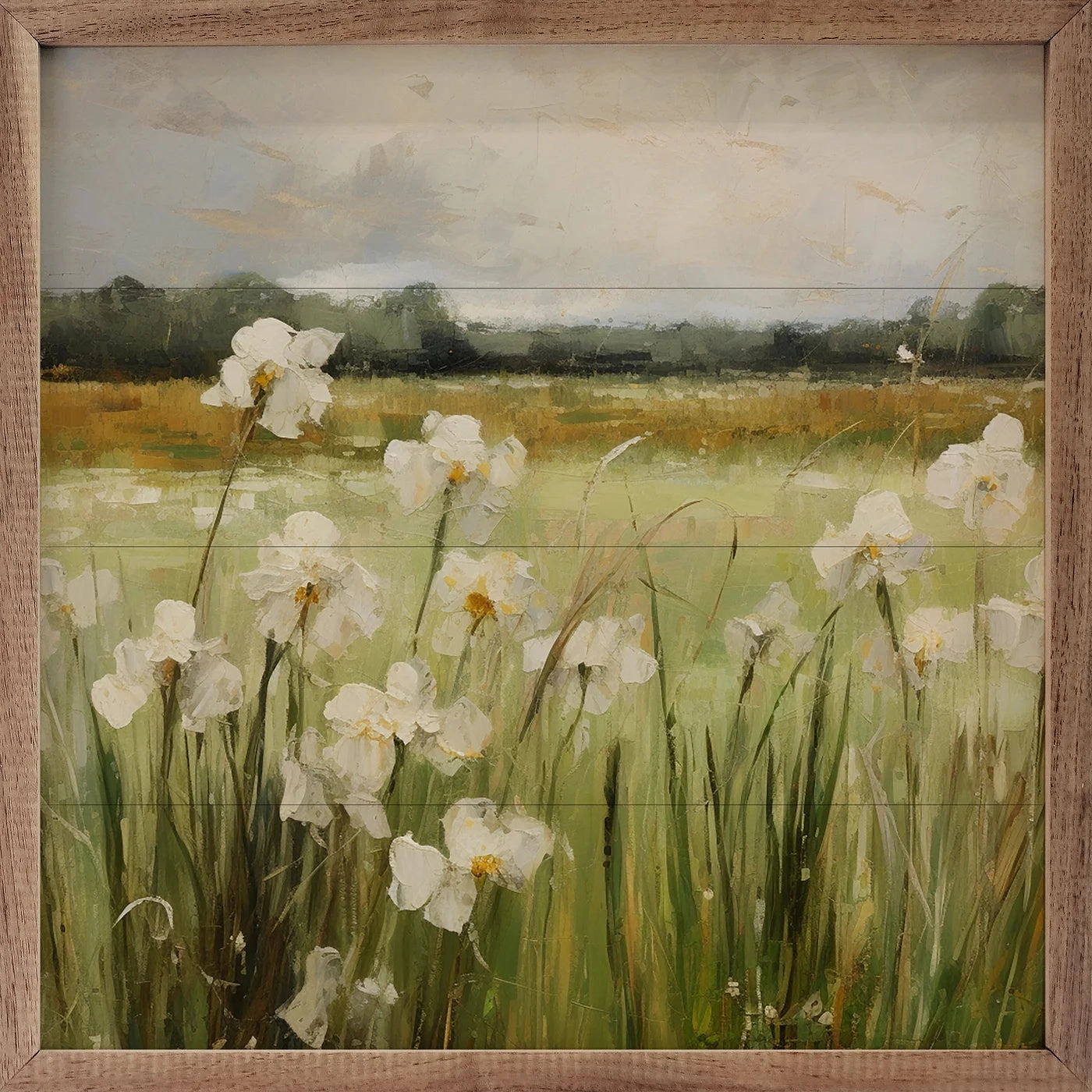 Wild White Irises By Gina Kelly Wood Framed Print 