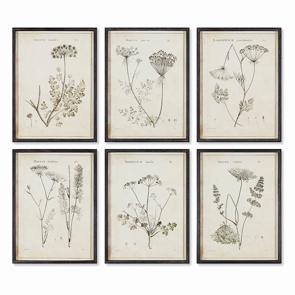 Wildflower Study Art 