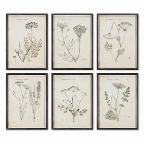 Wildflower Study Art 