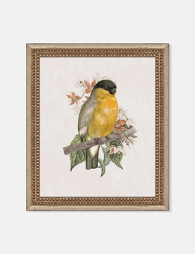 Wings of Wonder Wall Art by Lilly Kinsey 