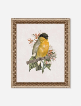 Wings of Wonder Wall Art by Lilly Kinsey 