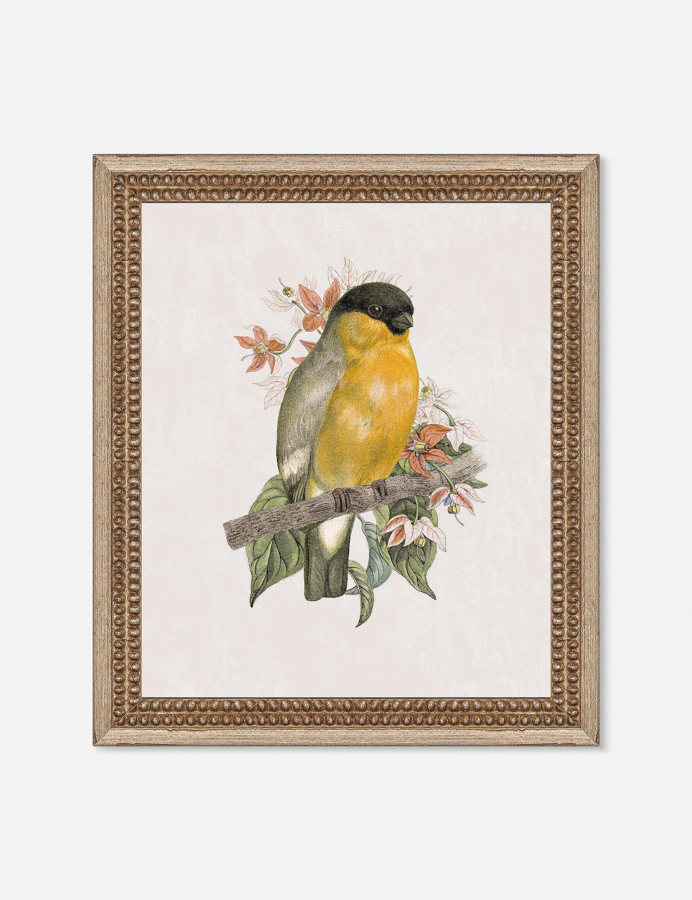 Wings of Wonder Wall Art by Lilly Kinsey 