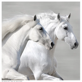 Winter Gallop (detail) 