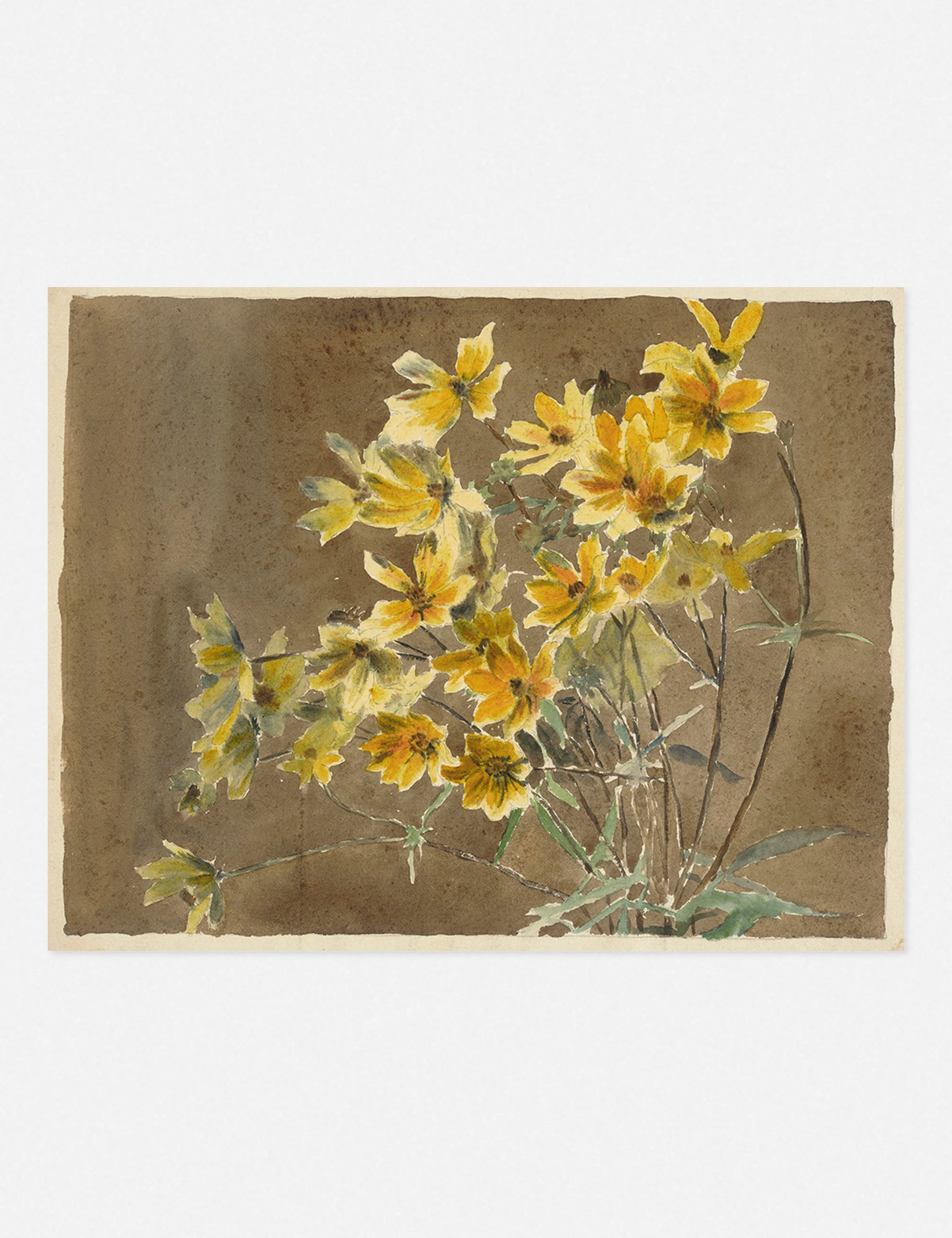 Yellow/Orange Flower with Border Print by Hannah Borger Overbeck